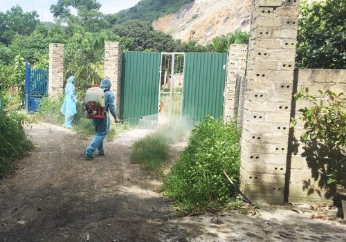 Quảng Ninh: Các trại gà cận ổ dịch cúm A/H5N8 vẫn an toàn