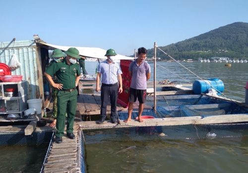 Không tiêu thụ được, người nuôi trồng thủy hải sản tại Đà Nẵng ‘kêu cứu’