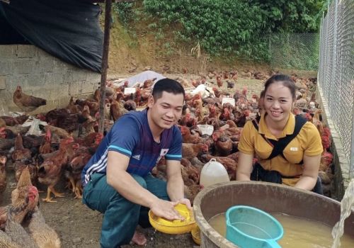 Bắc Hà (Lào Cai): Nữ chi hội trưởng phụ nữ chăn nuôi giỏi