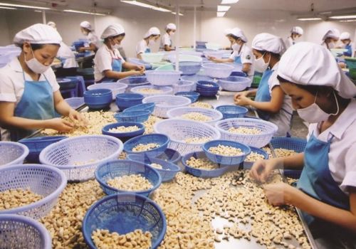 Hoa Kỳ là thị trường nhập khẩu nông sản lớn nhất của Việt Nam