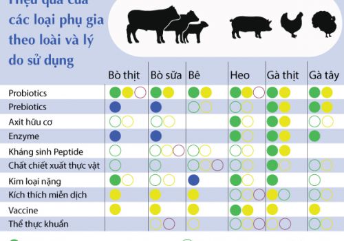 Tổng hợp về hiệu quả các sản phẩm thay thế kháng sinh trong thức ăn chăn nuôi.