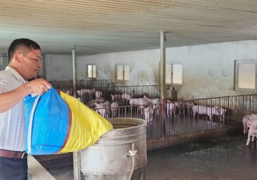 Thức ăn chăn nuôi cao khiến nông dân mất khả năng sản xuất - thị trường lợn gà trở thành sân chơi cho doanh nghiệp nước ngoài