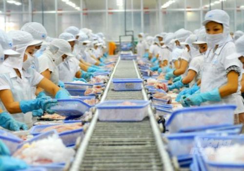 Thủy sản Việt Nam nhập khẩu vào Nga tăng rất mạnh