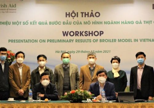 Ngành hàng gà thịt tại Việt Nam: Đẩy mạnh chuyển dịch cơ cấu sử dụng sản phẩm trên thị trường