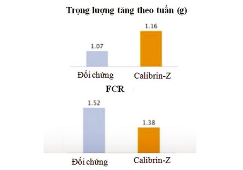 Cải thiện năng suất tôm bằng Calibrin-Z
