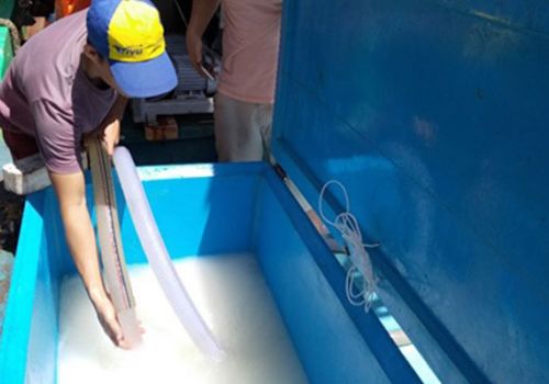 Công nghệ đá sệt thay đổi phương thức bảo quản thủy sản trên tàu cá ở Việt Nam