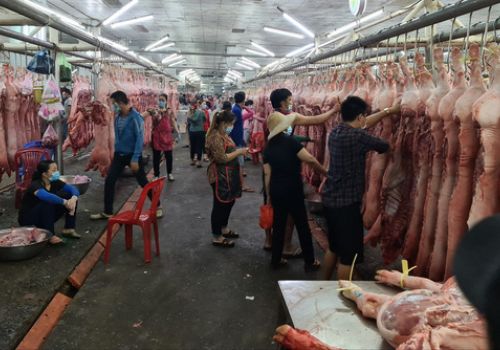60% heo Đồng Nai khó tiêu thụ do chợ Hóc Môn đóng cửa