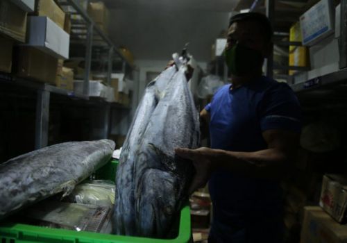 Hàng ngàn tấn hải sản nằm kho lạnh vì dịch, chủ hàng lo phá sản vì phải bù lỗ tiền điện