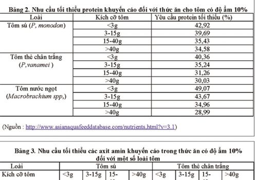 Nhu cầu protein của tôm