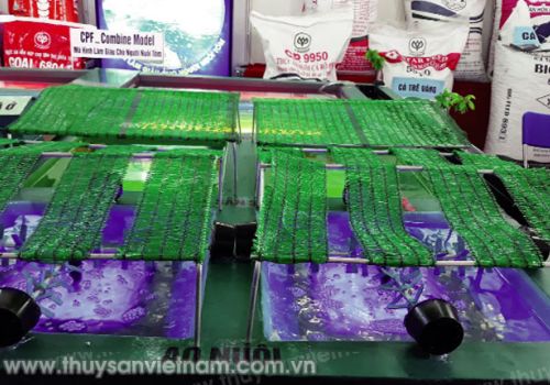 Những công nghệ tiên tiến trong nuôi tôm