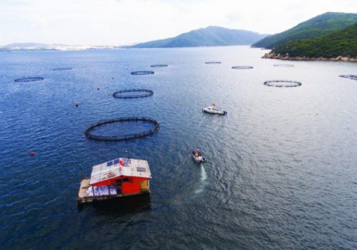 Ứng dụng khoa học công nghệ vào nuôi trồng thủy sản