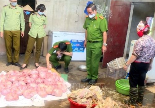 Thái Nguyên: Kịp thời găn chặn hơn 3 tấn gà hôi thối chuẩn bị đưa ra thị trường