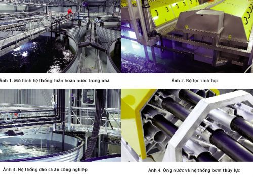Thiết kế hệ thống tuần hoàn nước