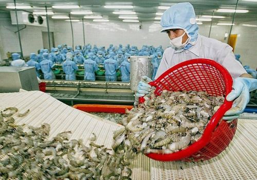Thủy sản Việt Nam nắm bắt cơ hội từ các FTA