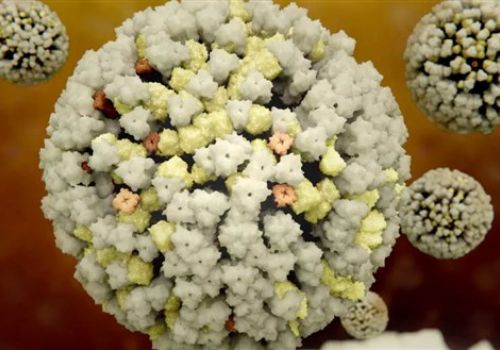 Trung Quốc: Phát hiện ca đầu tiên nhiễm cúm gia cầm chủng H10N3 trên người