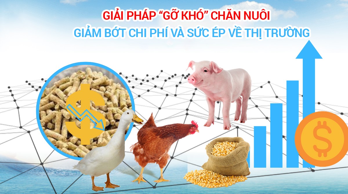 Giải pháp gỡ khó chăn nuôI 2