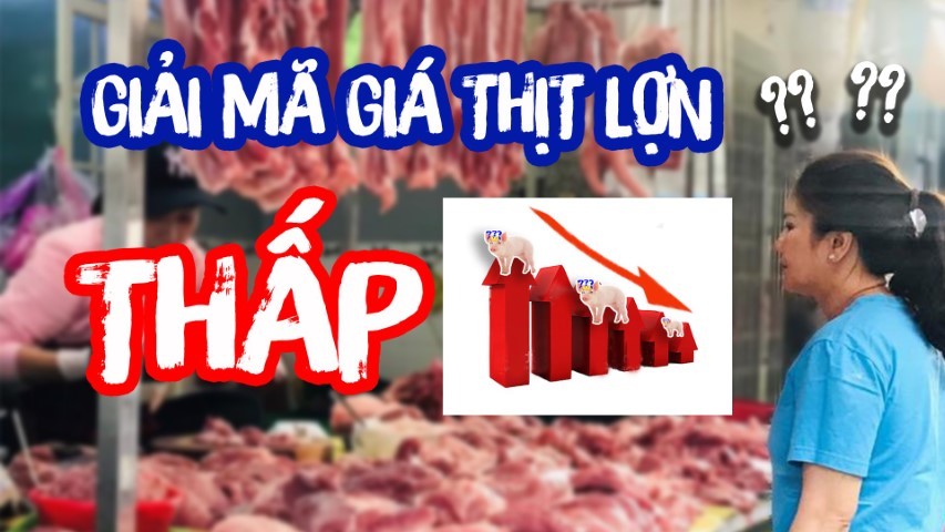 Giải mã giá thịt lợn thấp