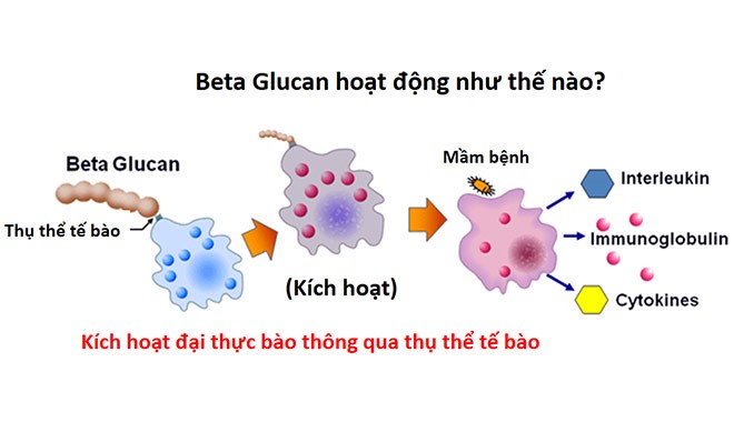 anova