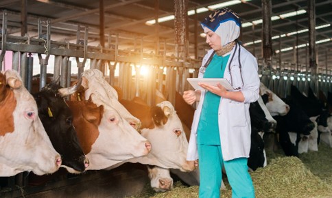 Chăn nuôi an toàn sinh học: Mở lối thành công