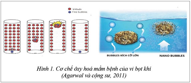 cong nghe sieu am ket hop nano 01