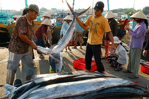 ‘Cứu’ chuỗi cung ứng hải sản bị đứt gãy