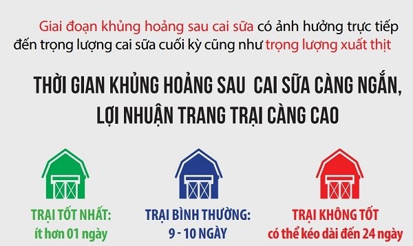 heo-sau-cai-sua-virbac-6 (1)