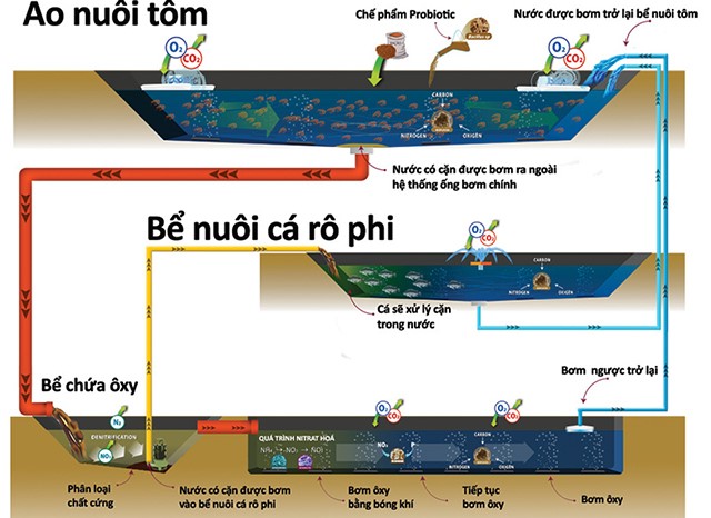 mo-hinh-nuoi-tom-tren-can-01 (1)