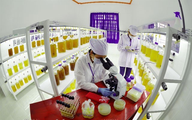 nuoi-tao-don-bao