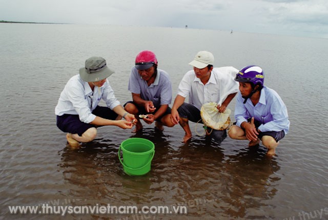 tang-cuong-quan-ly-nuoi-tom-ngao