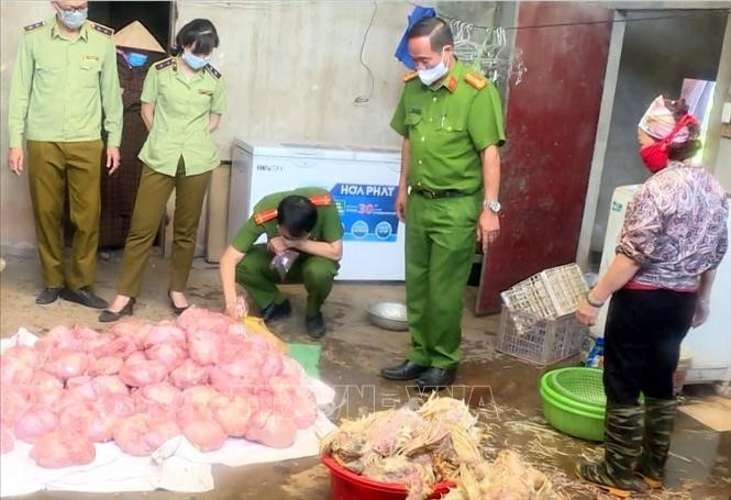 Thái Nguyên: Kịp thời găn chặn hơn 3 tấn gà hôi thối chuẩn bị đưa ra thị trường