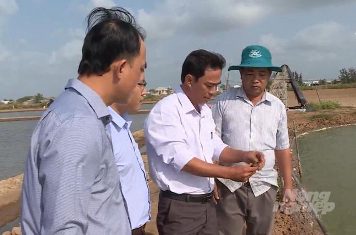 Bình Định: Phong trào nuôi heo rừng lai ở Tây Giang