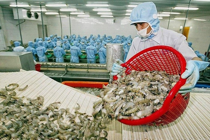 Thủy sản Việt Nam nắm bắt cơ hội từ các FTA
