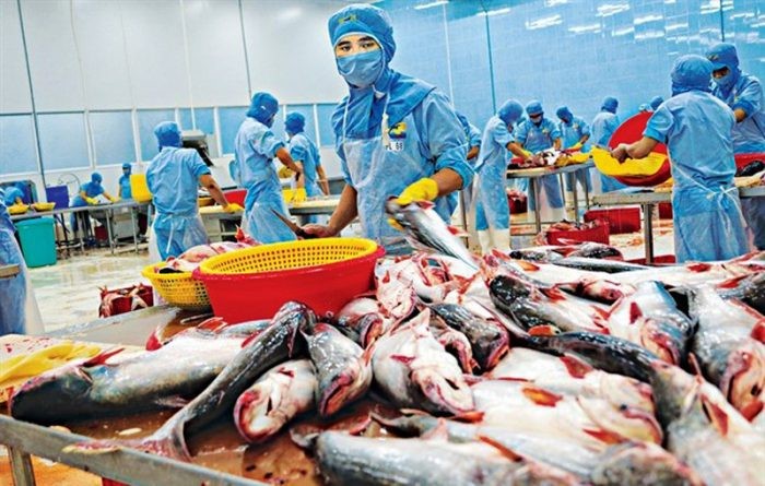 Sản xuất, chế biến thủy sản Việt Nam năm 2022: Thách thức ở phía trước
