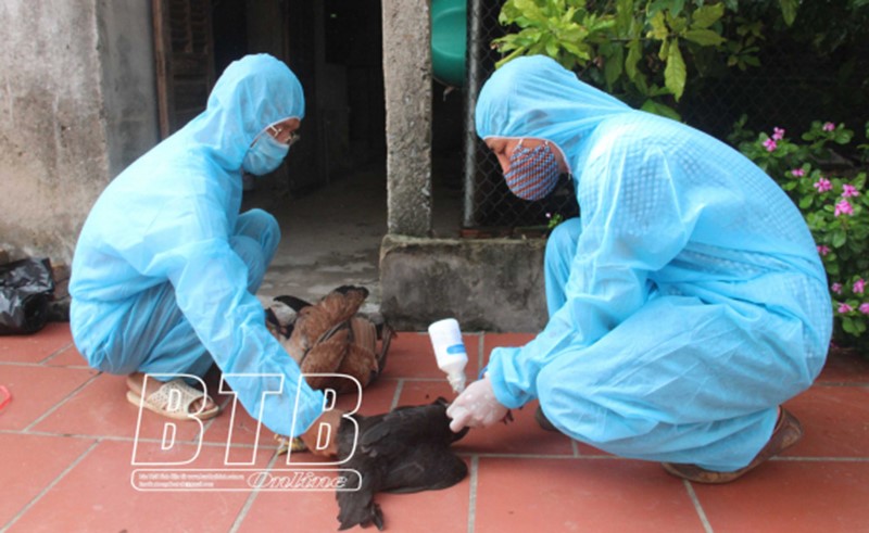 tiem-vaccine-cho-gia-cam-thai-binh