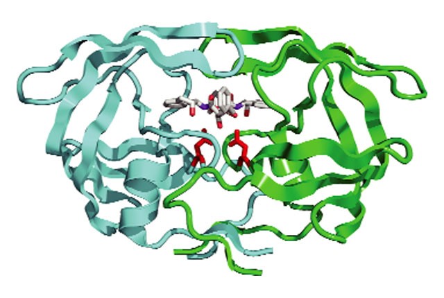 ung-dung-hieu-qua-enzym-01