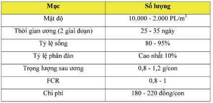 uong-tom-mat-do-sieu-cao-raceway-06