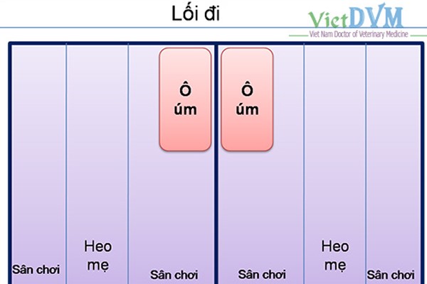 vietphuong-um-heo-trong-mua-lanh-3 (1)