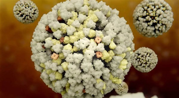 Trung Quốc: Phát hiện ca đầu tiên nhiễm cúm gia cầm chủng H10N3 trên người
