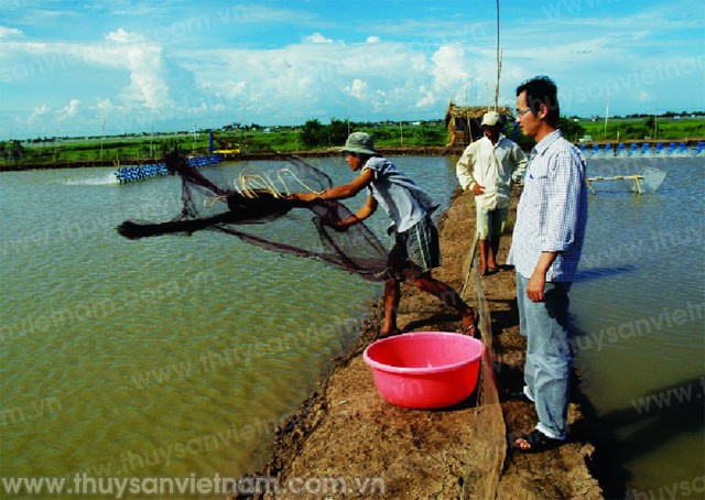 z300-Thuy-san-Viet-Nam2983-