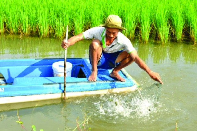 z300-Thuy-san-Viet-Nam5103