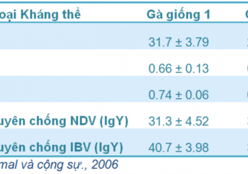 Miễn dịch thụ động (Phần 1)