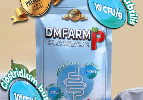 DMFARM P