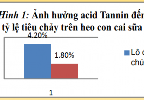 Ảnh hưởng của Acid tannin đến chế độ dinh dưỡng của heo con