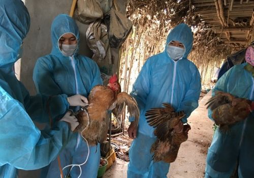 Hà Nội: Nguy cơ bùng phát dịch bệnh cuối năm rất cao