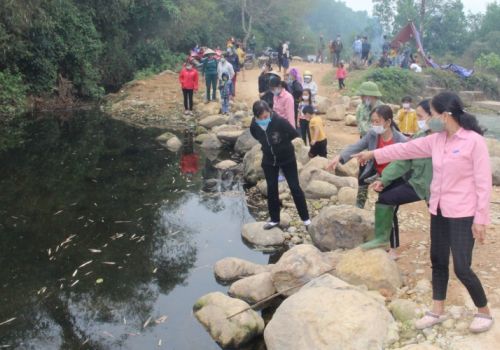 Thái Nguyên: Tiếp tục xử lý trang trại chăn nuôi gây ô nhiễm