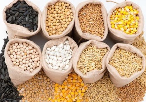 T&T nhập khẩu trên 2,5 triệu tấn nguyên liệu thức ăn chăn nuôi