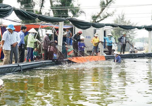 Bảo đảm an toàn thủy sản nuôi trong mùa mưa bão