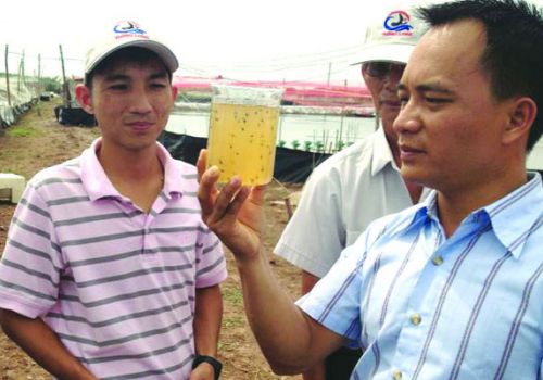 Áp dụng quy trình nuôi tôm theo công nghệ Biofloc tại Việt Nam