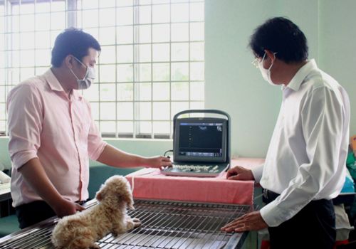 Đồng Tháp: Khai trương Phòng thí nghiệm - Bệnh xá Thú y