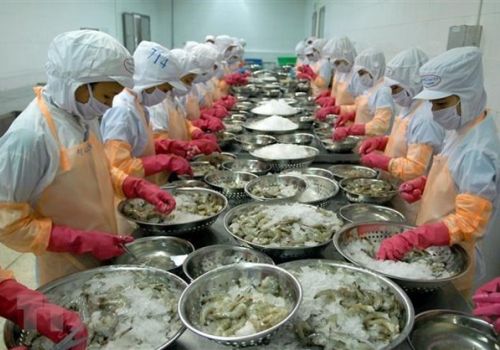 5 điểm nổi bật của ngành xuất khẩu thuỷ sản năm 2021